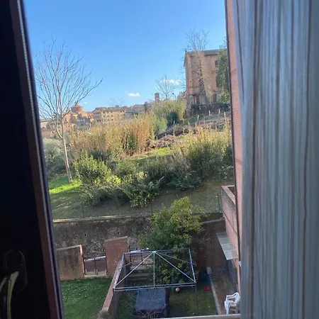 Provenzano Nest Siena