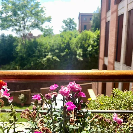 Provenzano Nest * Siena