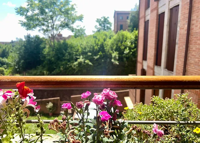 Provenzano Nest * 锡耶纳