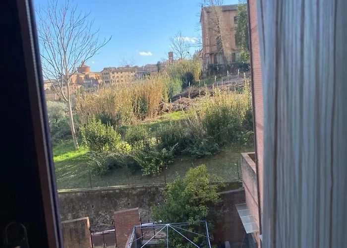 Provenzano Nest Siena